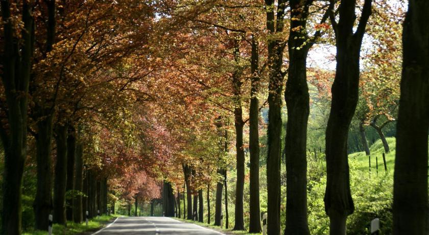 Altes Zollhaus Naehe Luxemburg Hotel Ammeldingen an der Our Екстериор снимка